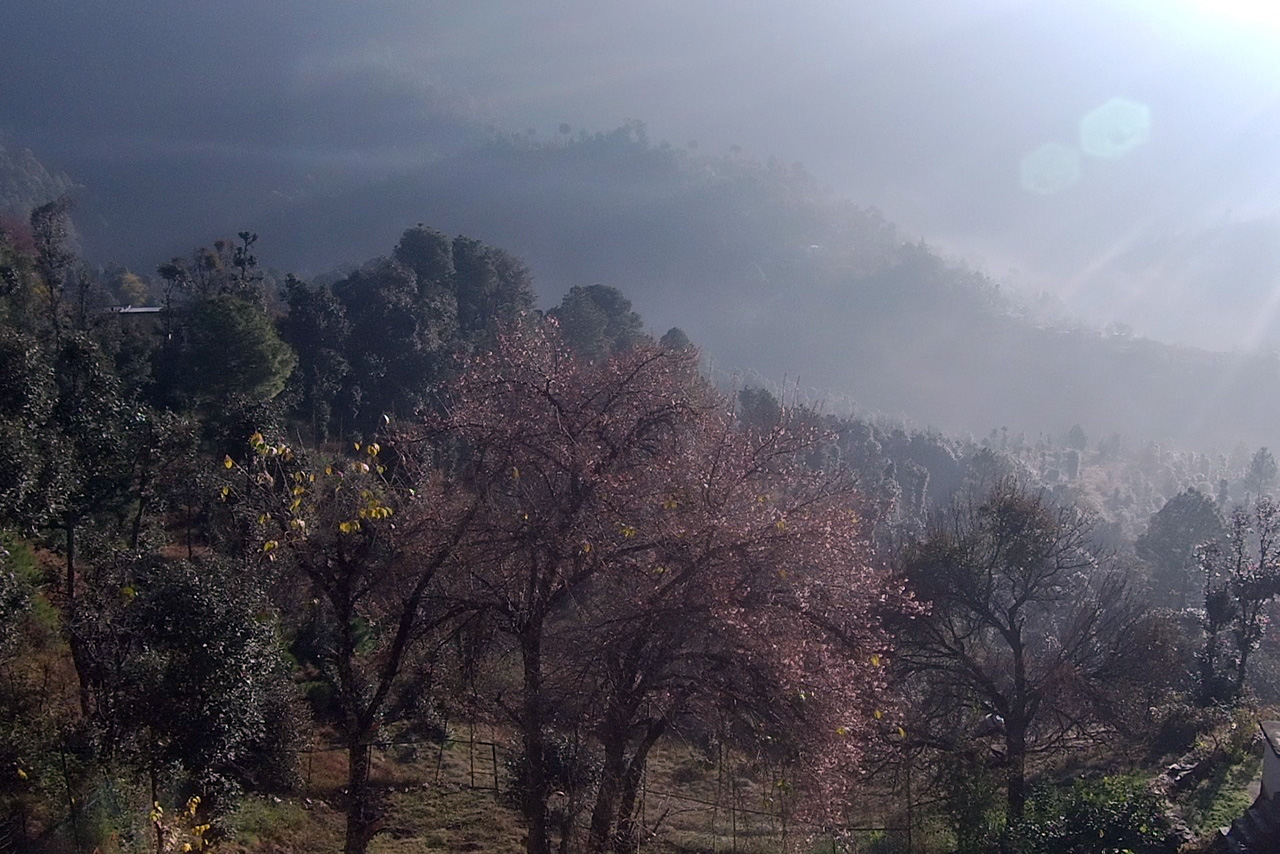 Hills